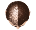 item purpose